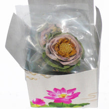 Load image into Gallery viewer, 5 Dried Lotus Blossoms  (Free shipping in 3-5 days)